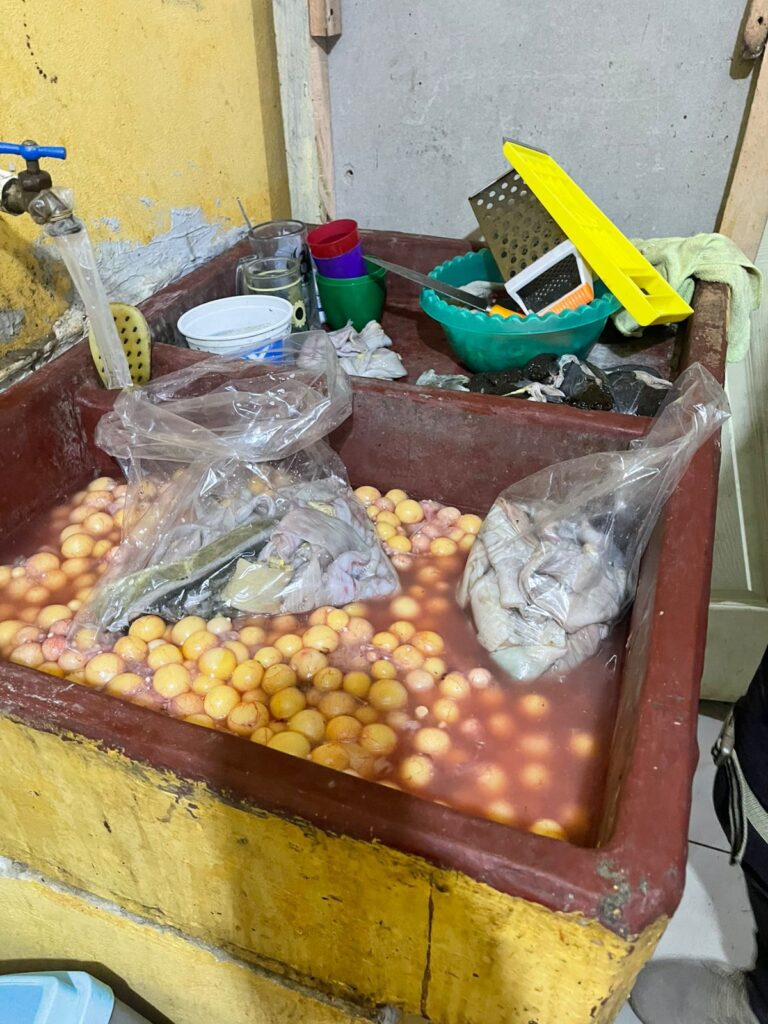 CAPTURA SOSPECHOSOS DE VENDER PRODUCTOS PROVENIENTES DE TORTUGA VERDE