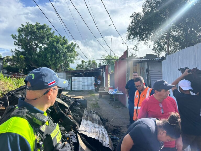 INCENDIO CONSUME 15 VIVIENDAS, MUEREN 7 GATOS Y 2 PERROS