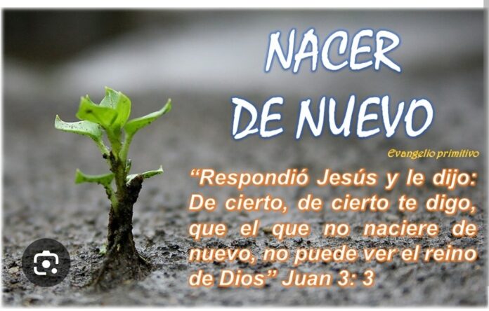 Screenshot_20250912_142338