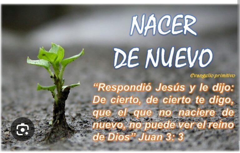 NACER DE NUEVO…