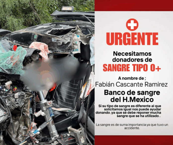 Diseño sin título (56)