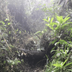 BUSCAN JOVEN DESAPARECIDO EN CERRO LAS CARICIAS EN SAN ISIDRO
