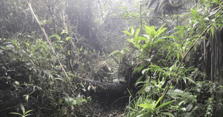 Imagen tomada de Wikiloc.com