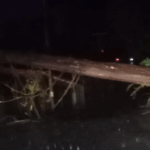 ÁRBOL CAE SOBRE TENDIDO ELÉCTRICO EN PASO LLANO