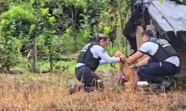 POLICÍA TURÍSTICA RESCATA PERRO EN CONDICIÓN DE ABANDONO