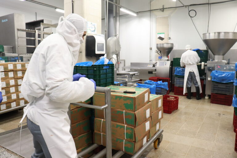 COOPEMONTECILLOS ANUNCIA 65 PUESTOS DISPONIBLES EN TODO EL PAÍS