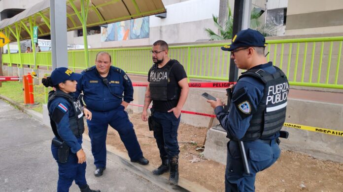 WhatsApp Image 2025-11-12 at 11.33.12 AM