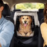 SI VA A VIAJAR CON SU MASCOTA, RECUERDE VERIFICAR LOS REQUISITOS DEL PAÍS DE DESTINO