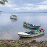 AMPLÍAN VEDA POR MAREA ROJA TÓXICA EN SECTOR DE BAHÍA CALDERA