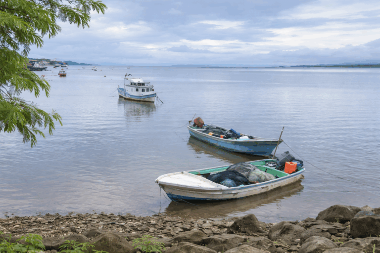 AMPLÍAN VEDA POR MAREA ROJA TÓXICA EN SECTOR DE BAHÍA CALDERA