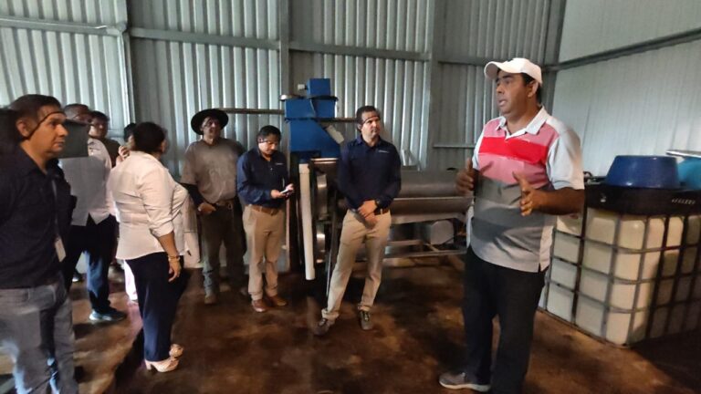 PRODUCTORES DE SARAPIQUÍ MEJORARÁN CALIDAD E INOCUIDAD DE LA PIMIENTA GRACIAS A PROYECTO ESTRATÉGICO DEL INDER