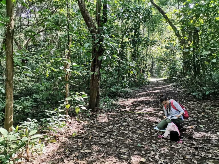 ¿POR QUÉ ALGUNOS ANIMALES BRILLAN Y OTROS SE ESCONDEN?