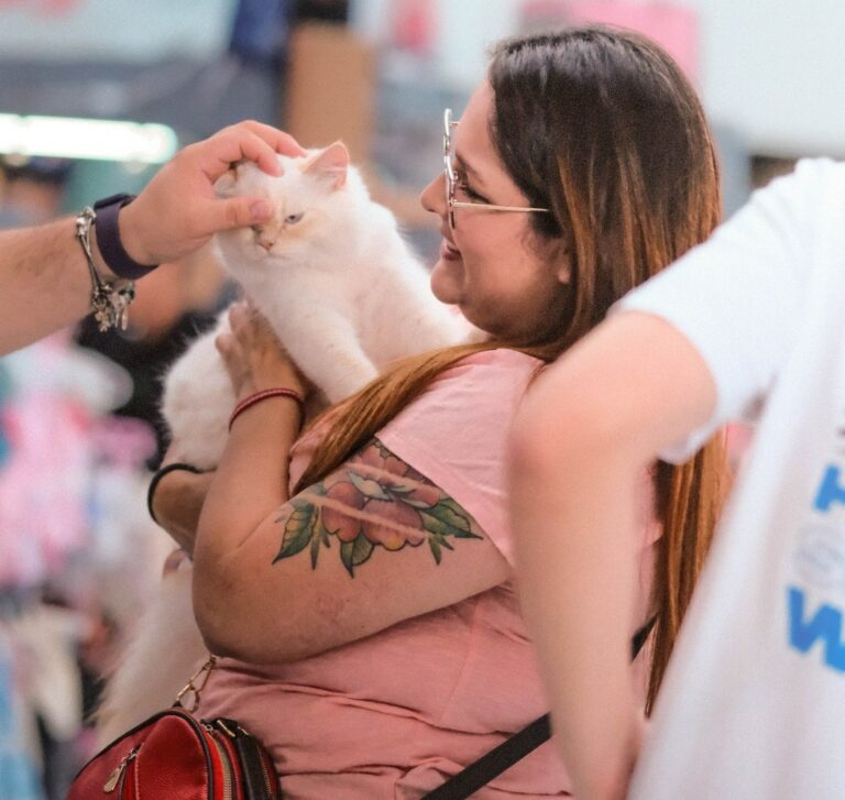 EXPO MASCOTERÍA EN HEREDIA PROMUEVE LA ADOPCIÓN RESPONSABLE ESTE FIN DE SEMANA