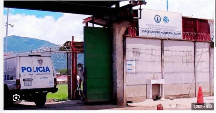 Gemini_Generated_Image_qblfyeqblfyeqblf