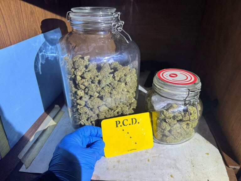 PCD ALLANA TIENDA DE VAPORIZADORES EN HEREDIA CENTRO POR VENTA DE DROGAS