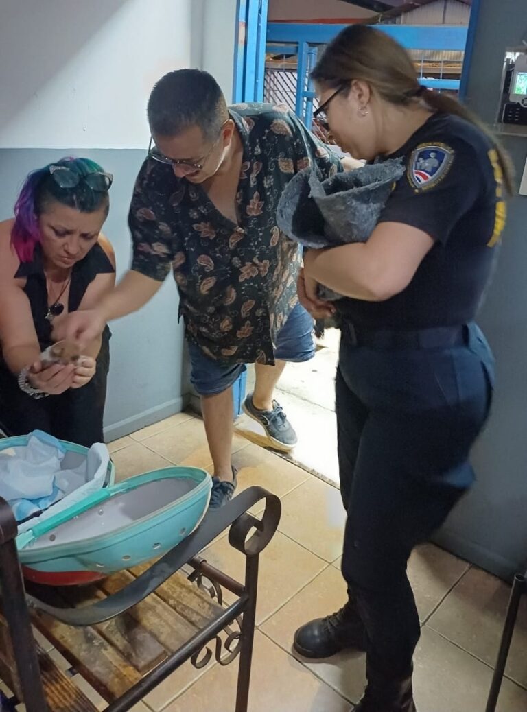 FUERZA PÚBLICA Y VECINA RESCATAN PERROS Y GATO, EN HEREDIA