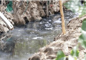 La sostenibilidad de esta iniciativa dependerá de la apropiación social mediante el colectivo de guardarríos, un grupo de voluntarios encargados de la vigilancia y el mantenimiento de las estructuras.