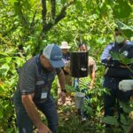 SENASA CAPACITA PERSONAL EN TRAMPEO DE MOSCAS DEL GUSANO BARRENADOR