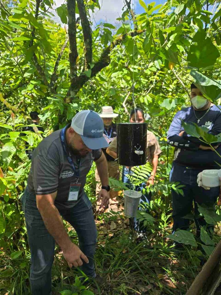 SENASA CAPACITA PERSONAL EN TRAMPEO DE MOSCAS DEL GUSANO BARRENADOR