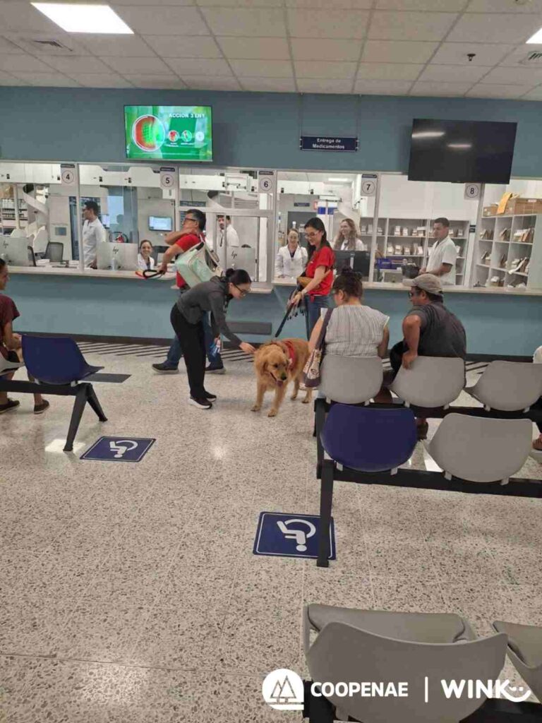 PERROS DE TERAPIA LLEVARÁN ALIVIO EMOCIONAL A PACIENTES EN HOSPITALES DEL PAÍS