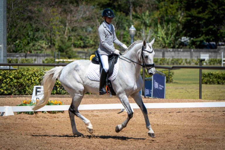 COPA BARVAK 2026 REUNIRÁ COMPETENCIAS ECUESTRES EN HEREDIA
