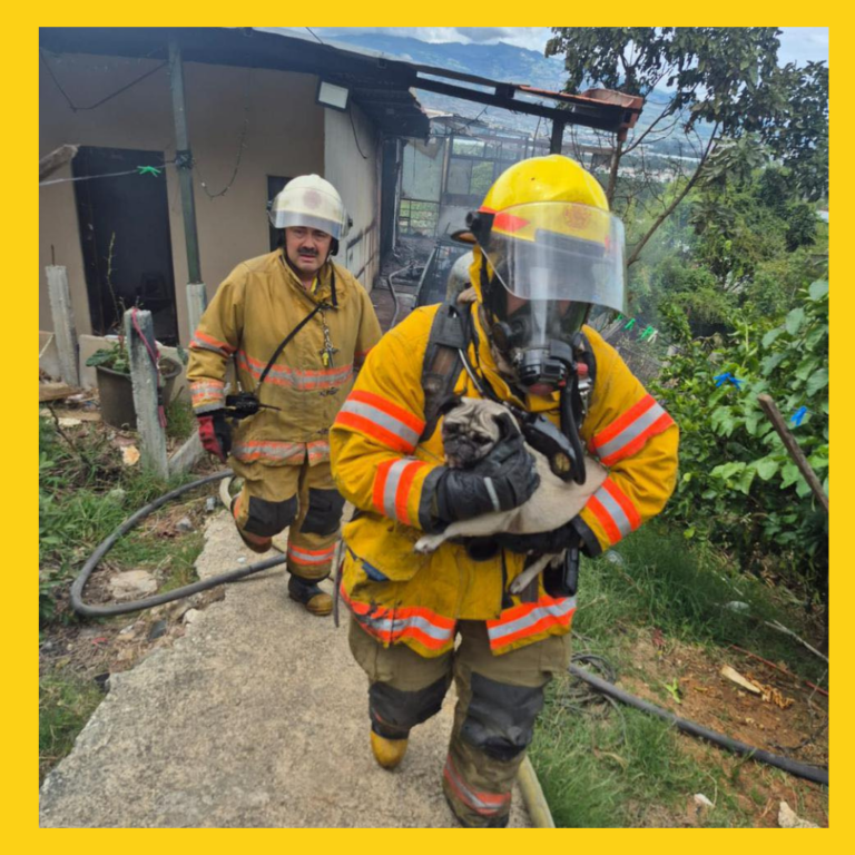 BOMBEROS RESCATAN A CACHORRO DURANTE INCENDIO EN EL GUARCO