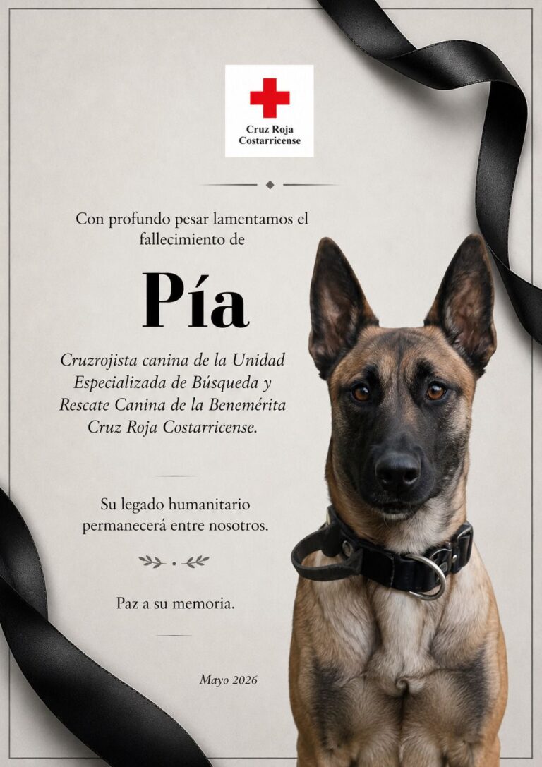 CRUZ ROJA DESPIDE A PÍA, INTEGRANTE DE SU UNIDAD DE BÚSQUEDA Y RESCATE CANINO