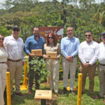 ICE SUMA 25 MILLONES DE ÁRBOLES SEMBRADOS CULTIVADOS EN SUS VIVEROS INSTITUCIONALES
