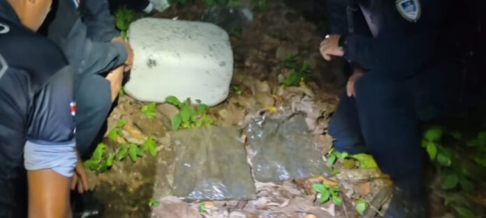 decomiso de droga en parque nacional
