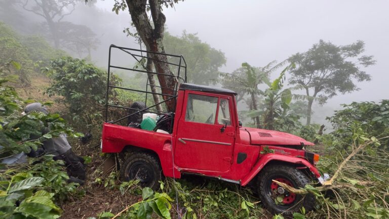TRES PERSONAS HERIDAS TRAS CAER VEHÍCULO A UN GUINDO EN LA CEIBA