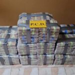 ALLANAMIENTOS DE LA PCD DEJAN 17 DETENIDOS Y GRAN CANTIDAD DE DROGA DECOMISADA