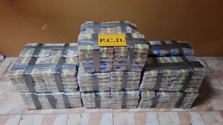 ALLANAMIENTOS DE LA PCD DEJAN 17 DETENIDOS Y GRAN CANTIDAD DE DROGA DECOMISADA