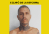 ¡CUIDADO! ESCAPÓ DE LA REFORMA