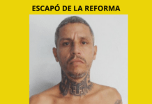 ¡CUIDADO! ESCAPÓ DE LA REFORMA