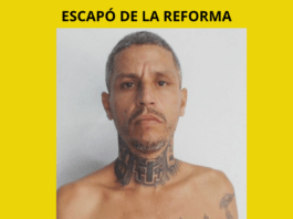 ¡CUIDADO! ESCAPÓ DE LA REFORMA