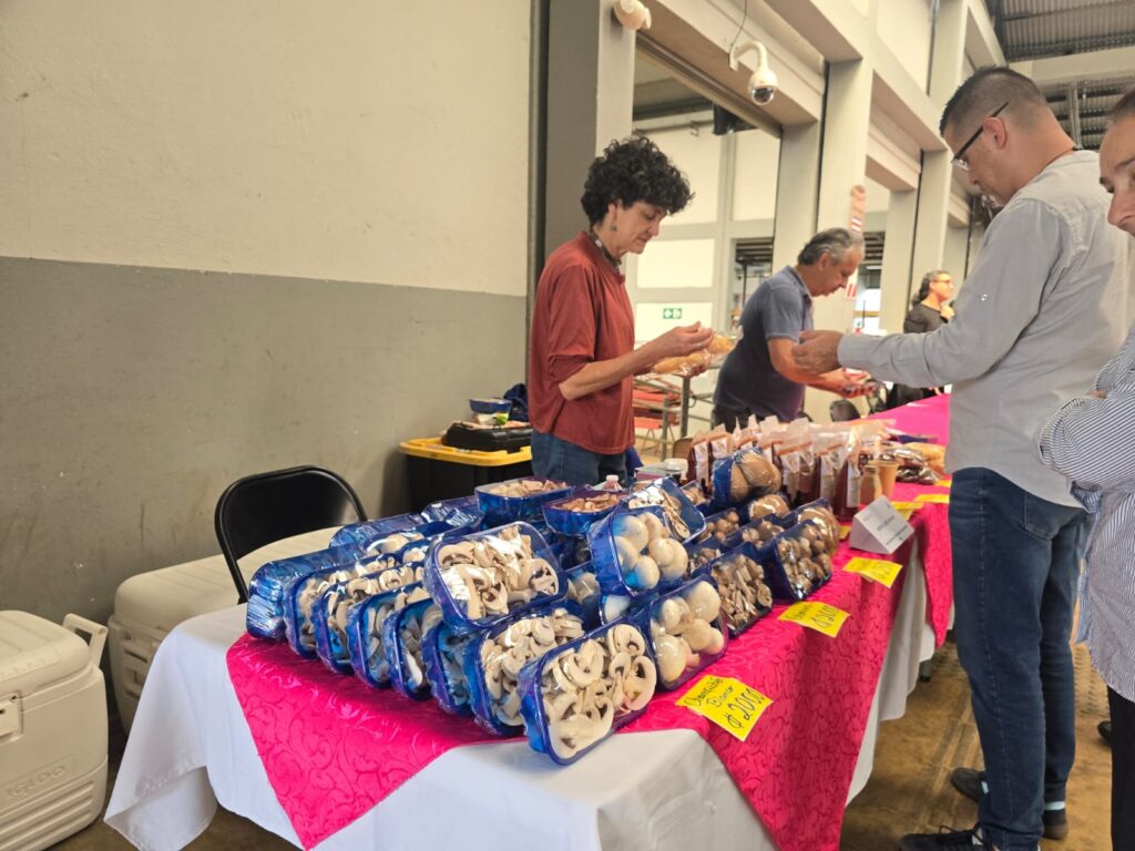 Algunos de los productores llevaron muestras de lo que ofrecen sus fincas para venderlo entre los asistentes.