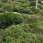 MUNICIPALIDAD DE BELÉN INVIERTE ₡350 MILLONES PARA PROTEGER NACIENTES DE AGUA