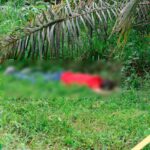 OIJ SOLICITA INFORMACIÓN PARA ESCLARECER HOMICIDIO OCURRIDO EN PALMAR SUR DE OSA