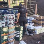 INTENTÓ CHOCAR PATRULLA PARA PROTEGER CARGAMENTO ILEGAL