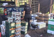 INTENTÓ CHOCAR PATRULLA PARA PROTEGER CARGAMENTO ILEGAL