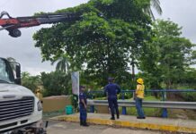 MECATES DECOMISADO AHORA AYUDAN EN LA PROTECCIÓN DE LA FAUNA