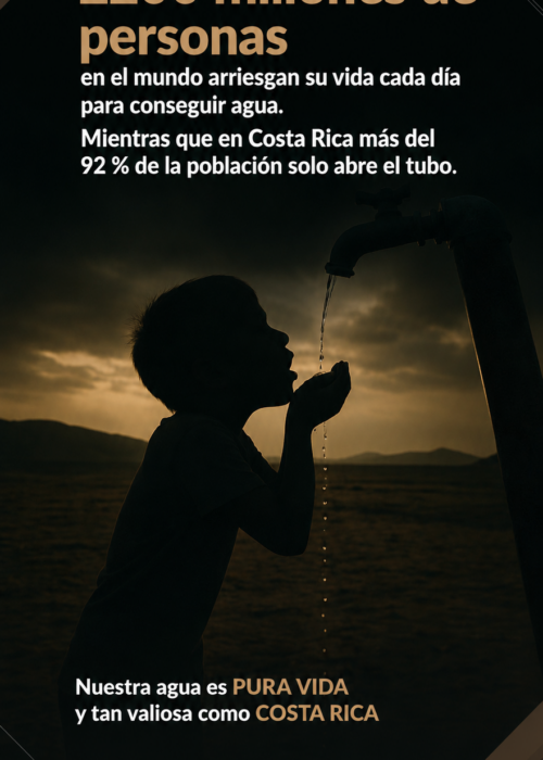 Una expo en su casa - Banco popular