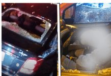 CONDUCTOR DE PLATAFORMA Y JOVEN MADRE VÍCTIMAS DE DOBLE HOMICIDIO EN CARTAGO