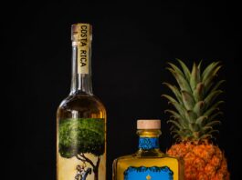 EMPRESA COSTARRICENSE LANZA LICOR DE CAS Y PREPARA DOS NUEVAS BEBIDAS