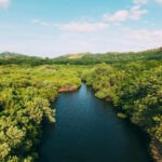 REFUGIO CONCHAL CUMPLE 17 AÑOS FORTALECIENDO LA CONSERVACIÓN DEL BOSQUE TROPICAL SECO