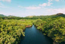 REFUGIO CONCHAL CUMPLE 17 AÑOS FORTALECIENDO LA CONSERVACIÓN DEL BOSQUE TROPICAL SECO