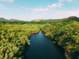 REFUGIO CONCHAL CUMPLE 17 AÑOS FORTALECIENDO LA CONSERVACIÓN DEL BOSQUE TROPICAL SECO
