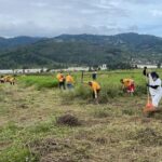 PRIVADOS DE LIBERTAD DAN MANTENIMIENTO A TERRENOS DEL FUTURO HOSPITAL DE CARTAGO