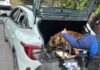 DETIENEN A MUJER CON MÁS DE ₡7 MILLONES EN EFECTIVO PORQUE CARRO OLÍA A DROGA