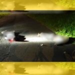 PADRE E HIJO ASESINADOS A BALAZOS EN MATINA